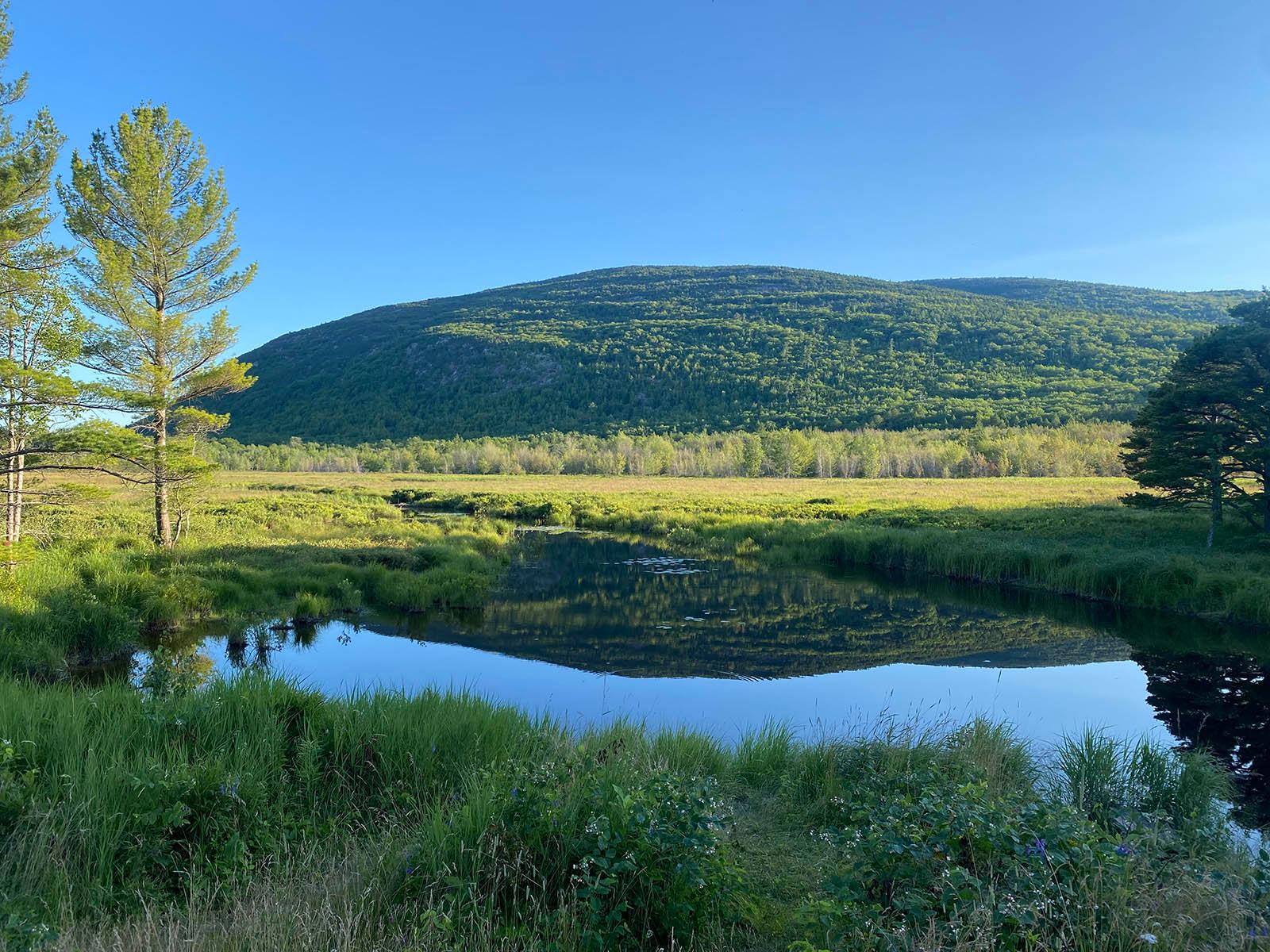 Two sunlit green mountains are reflected in a pool of water with grasses under a clear blue sky.